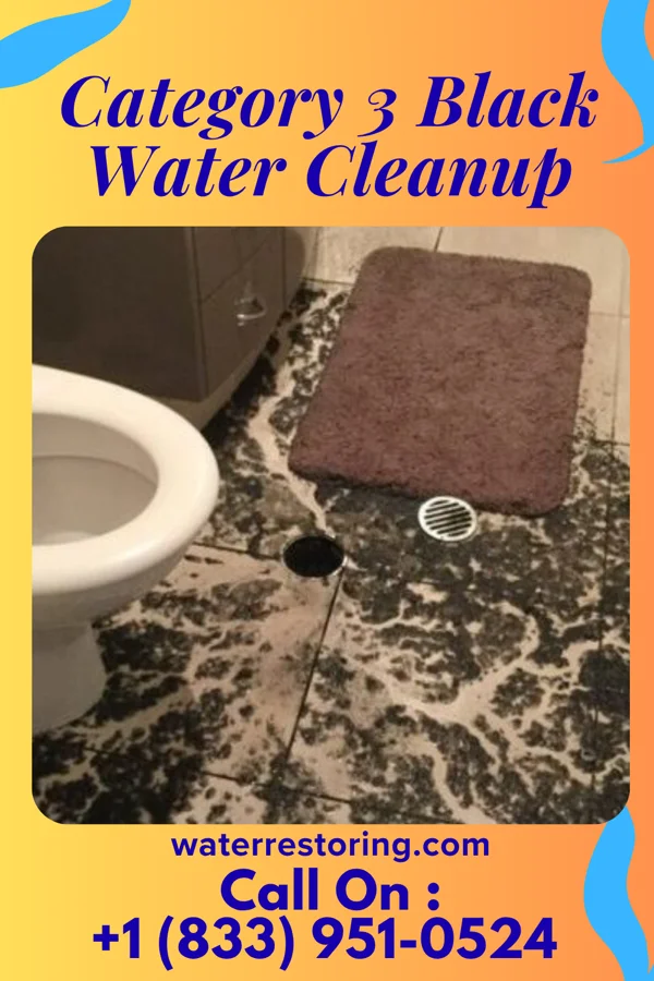 Category 3 Black Water Cleanup in Meyersdale, PA