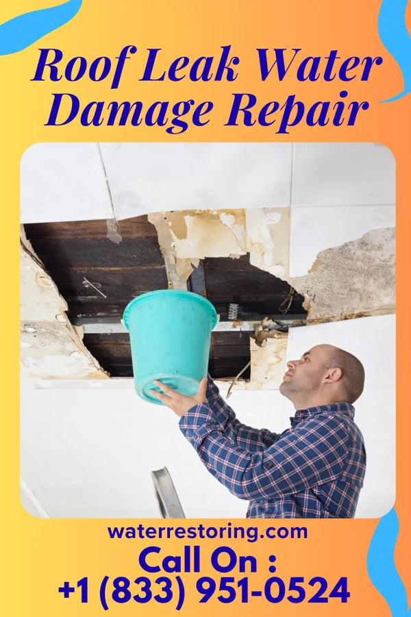 Roof Leak Water Damage Repair in Meyersdale, PA
