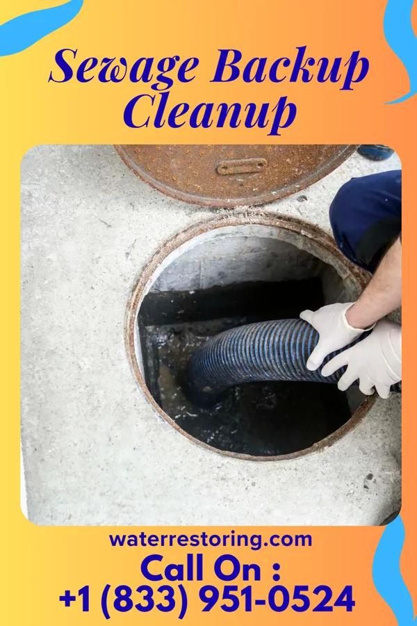 Sewage Backup Cleanup in Meyersdale, PA