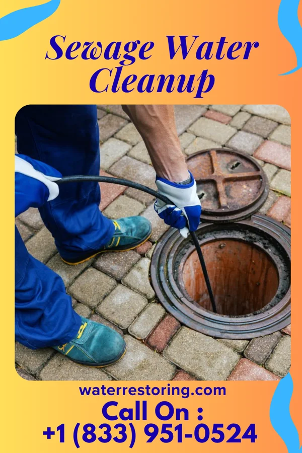 Sewage Water Cleanup in Meyersdale, PA